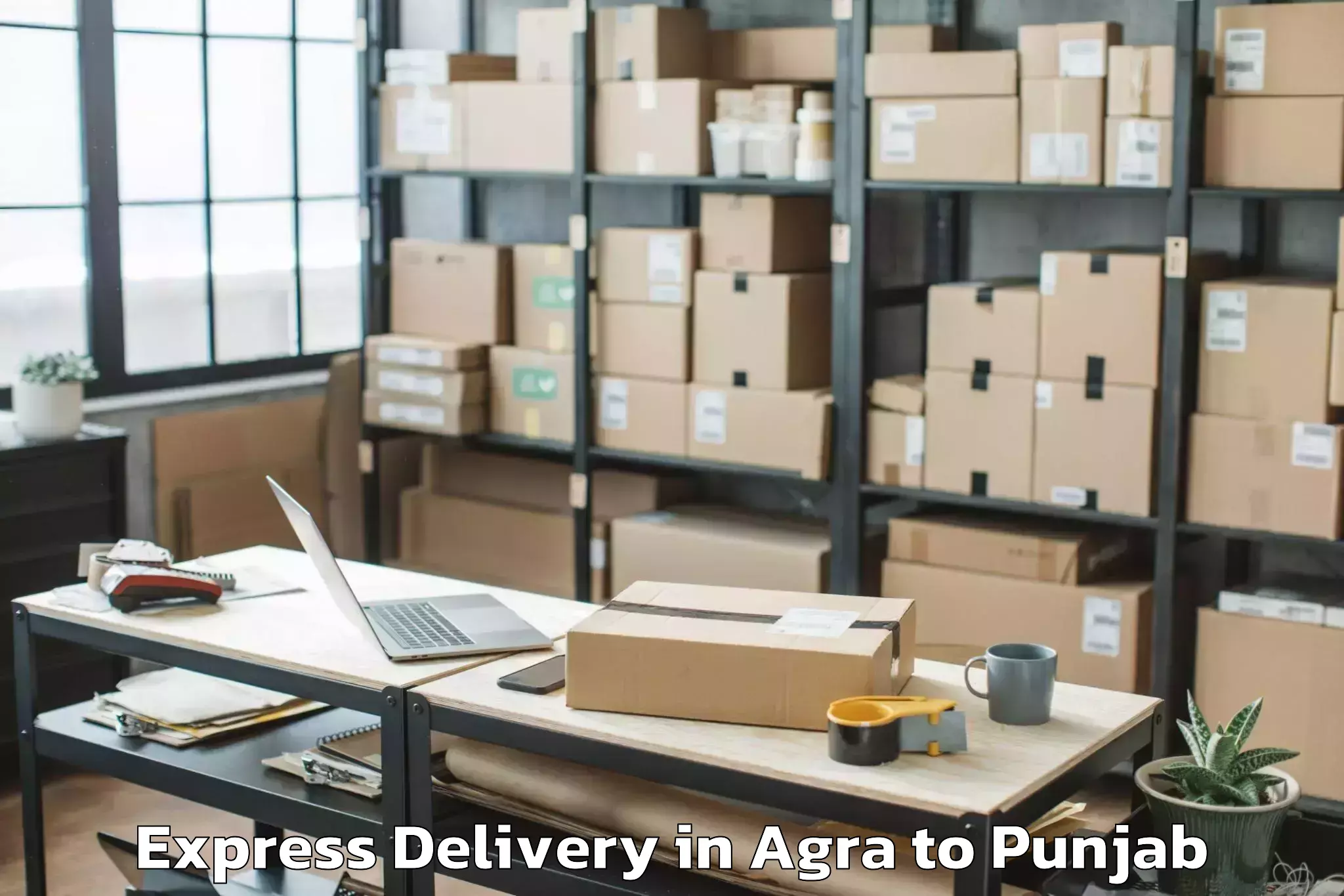 Professional Agra to Nurpur Kalan Express Delivery